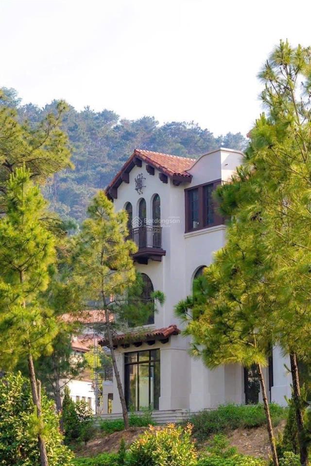 Giỏ hàng độc quyền dự án thanh xuân valley mua trực tiếp chủ đầu tư