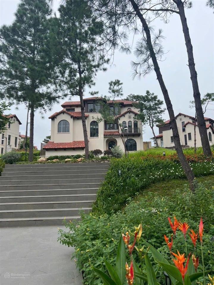 Giỏ hàng độc quyền dự án thanh xuân valley mua trực tiếp chủ đầu tư