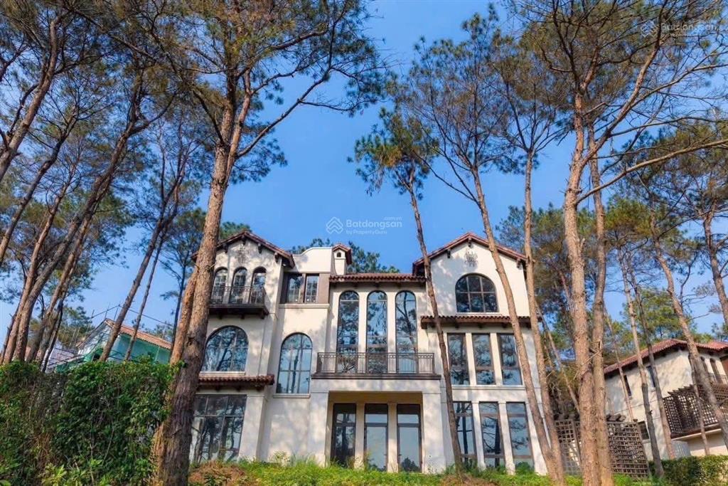 Giỏ hàng độc quyền dự án thanh xuân valley mua trực tiếp chủ đầu tư