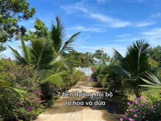 Khu nghỉ dưỡng, vườn sầu riêng, trái cây đủ loại, đất ở đô thị, tại tt kim long, châu đức, brvt