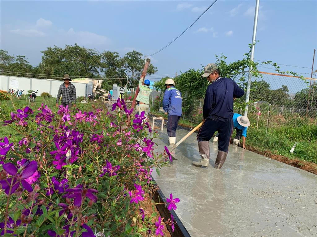 Vườn sầu riêng 8031m2 trái cây đủ loại khai thác ngay, đất ở đô thị, sau trường học tại xã kim long