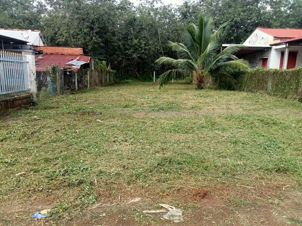 Bán đất ngay cổng khu du lịch sinh thái binon caccao park 234m², 100% thổ cư, chính chủ