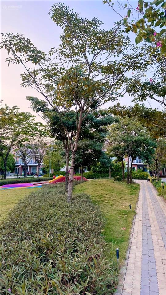 Bán biệt thự dragon village, 7 tỷ8, 90m2,view công viên