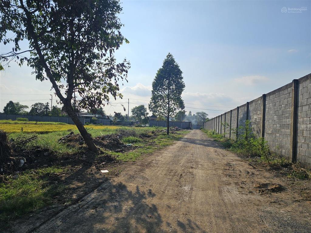 Chủ kẹt giảm 2 tỷ lô đất xã long trạch, huyện cần đước, 16 tỷ, 2000m2, view xịn. cạnh kcn cầu tràm