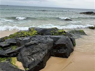 Bán đất mặt biển hòn yến phú yên