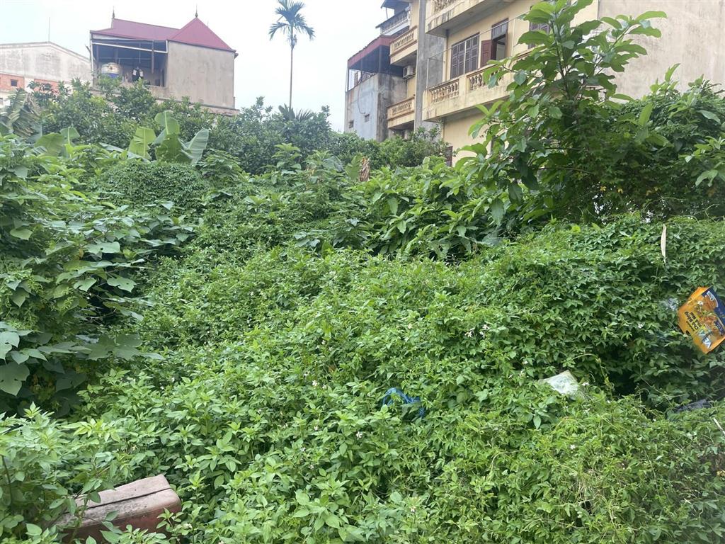 Bán đất phúc thọ  đông anh vị trí xã mai lâm, đông anh, hà nội diện tích 54,2m mặt tiền 4m