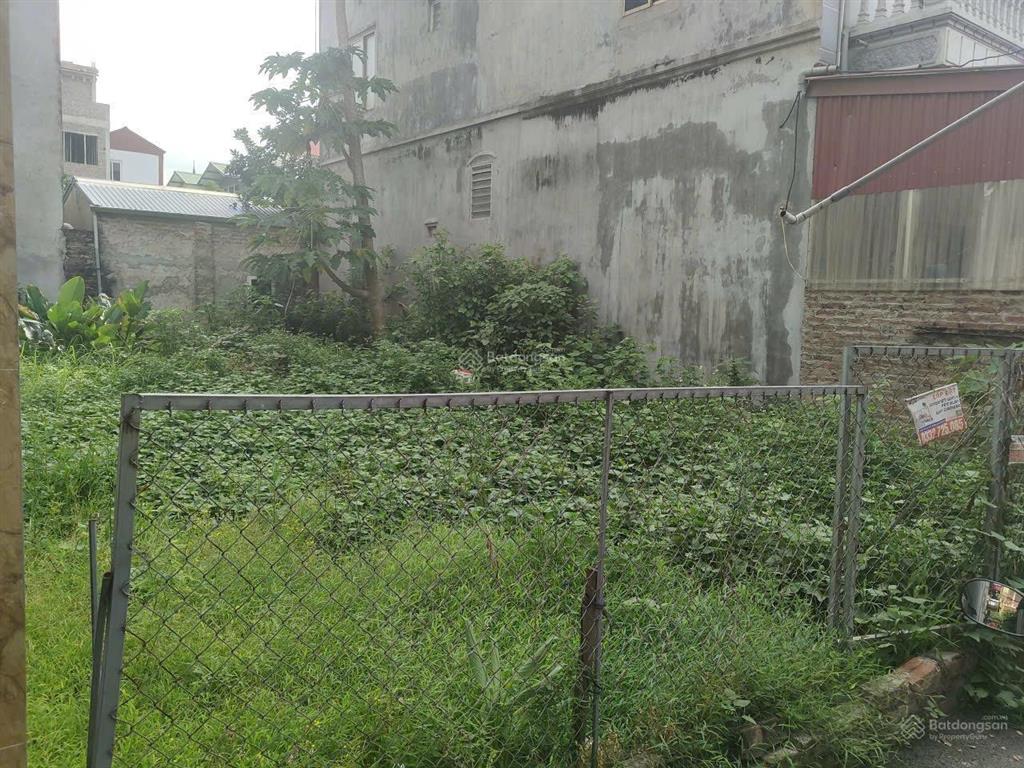 Hàng hiếm  mai lâm đông anh  không có mảnh thứ 2 đâu nhé 52 m2