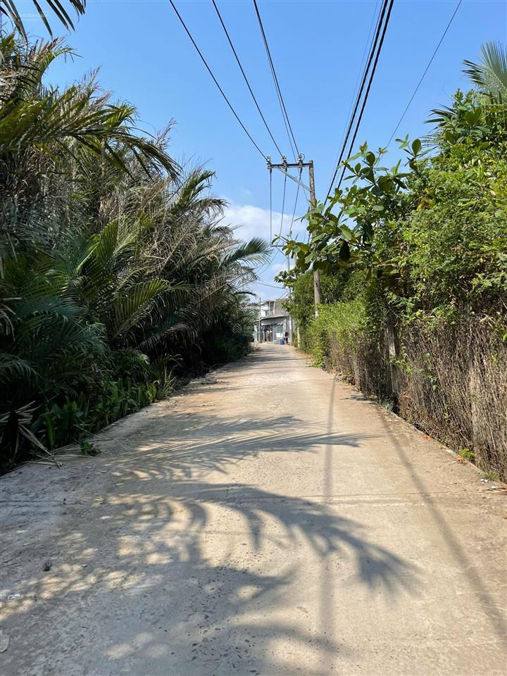 Đất vườn nguyễn bình nhơn đức, diện tích 11m x 63m (tổng 686m2) đất rộng, thoáng view sông lớn