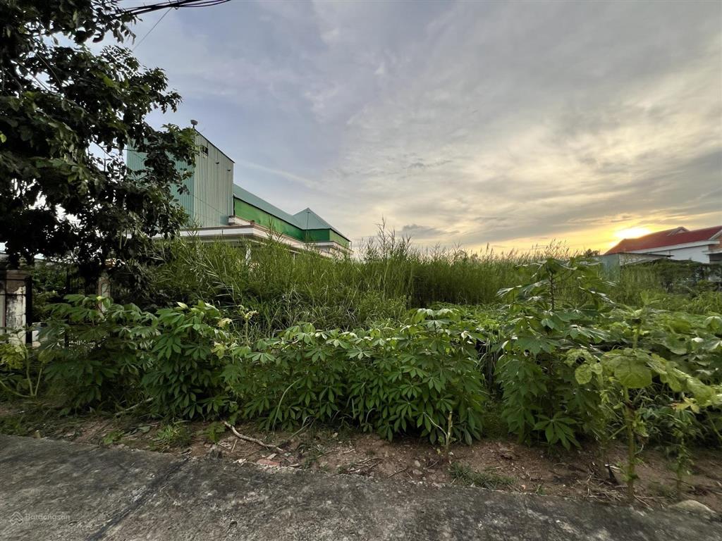 Đất vườn nguyễn bình nhơn đức, diện tích 11m x 63m (tổng 686m2) đất rộng, thoáng view sông lớn