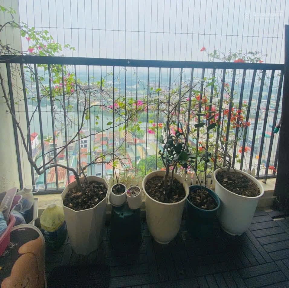 Chính chủ bán căn góc siêu đẹp tòa @homes 987 tam trinh, 70m2