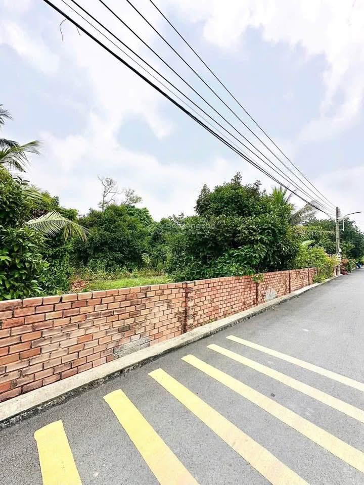Giảm mạnh 500tr đất an sơn 38 gần chợ an sơn dt  499,8m2, 21x24m, thổ cư 150m2