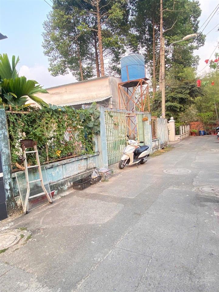 Đất phú hoà  diện tích 12 x 29m  có 211m thổ cư , tổng 339m đang có nguồn thu giá chỉ 7 tỷ 9
