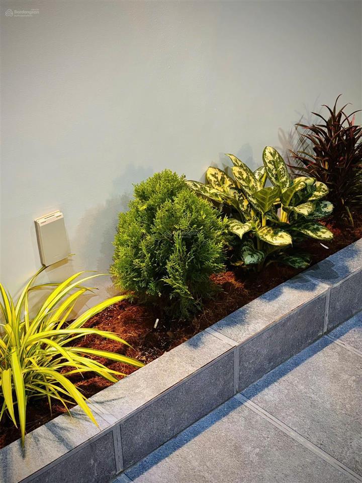 Nhà 2 mặt tiền  phú mỹ, 5 x 22,8 = 112m2. giá chỉ 3 tỷ 860 tl. thiết kế hiện đại