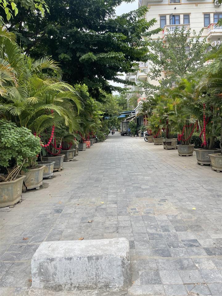 Bán nhanh lô đất dịch vụ khu b yên nghĩa 8,5 tỷ không lỗi phong thủy.  0983 477 ***