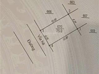 Bán lô đất đấu giá x3 đông la trục đường 18m giá 125tr/m.  0983 477 ***
