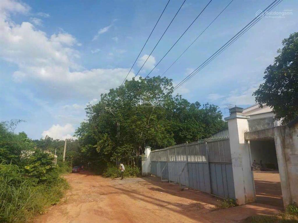 Bán đất p an điền, tp bến cát  bình dương