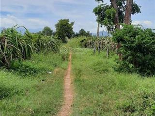 Bán đất tại xã hồng liêm, hàm thuận bắc, bình thuận 1,85 tỷ, 5551 m2 bao đẹp uy tín