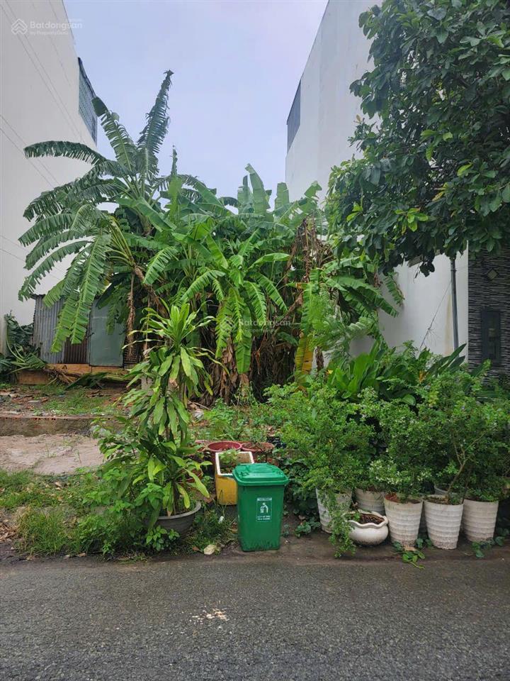 Bán lô cặp 2 lô 5x20m giá 41,5 triệu/m2