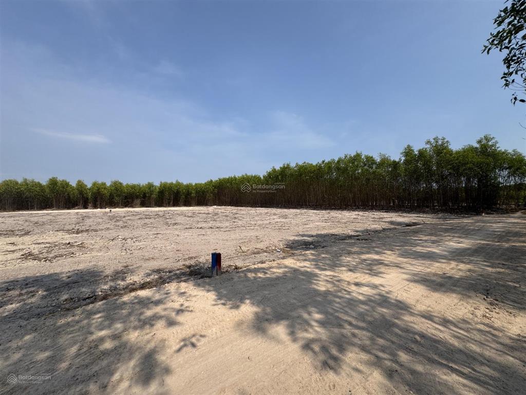 Đất nhơn trạch đường 2 xe ô tô tránh nhau sổ hồng riêng mỗi lô 1000m2 cách đường 25c chỉ 50m