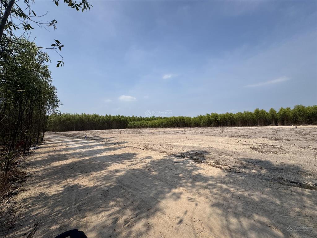 Đất nhơn trạch đường 2 xe ô tô tránh nhau sổ hồng riêng mỗi lô 1000m2 cách đường 25c chỉ 50m
