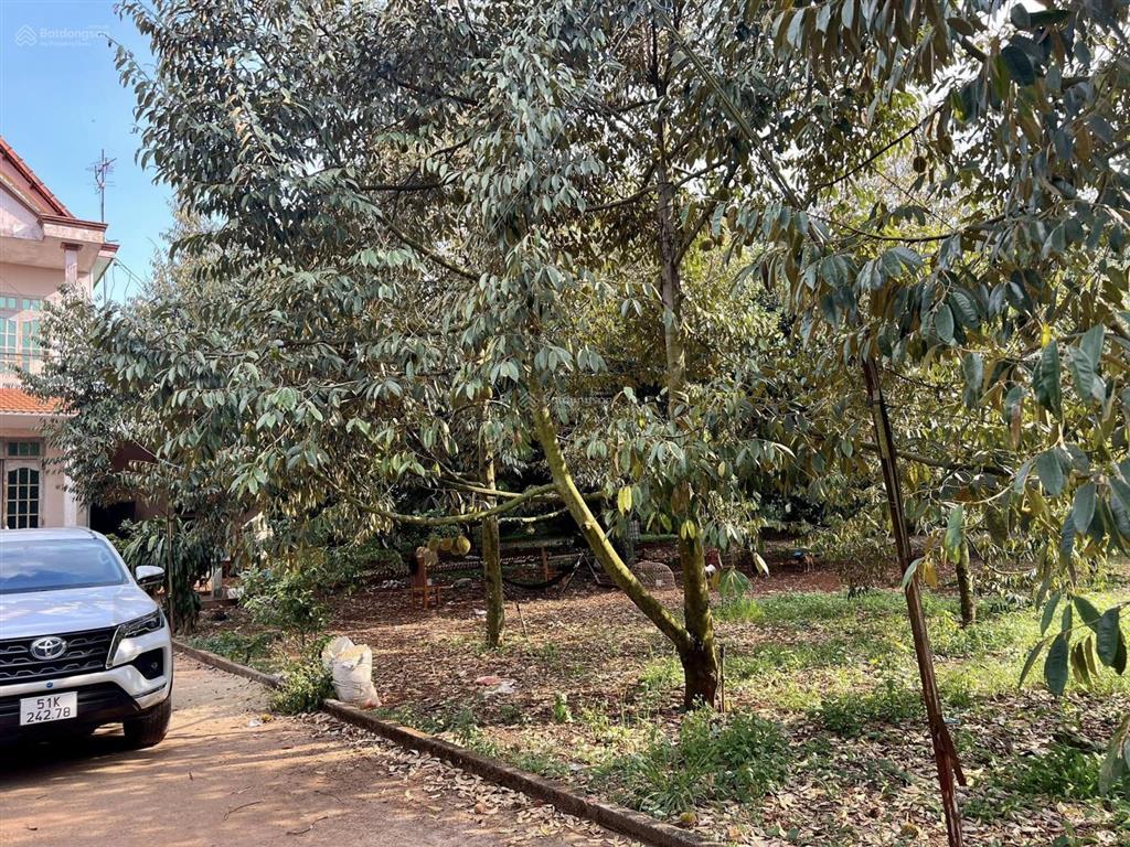 Bán đất nền tại khu phố nông doanh, quốc lộ 1a, 2,2 tỷ, 851m2, giá cực chất hàng hiếm tại