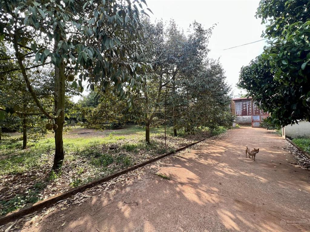 Bán đất nền tại khu phố nông doanh, quốc lộ 1a, 2,2 tỷ, 851m2, giá cực chất hàng hiếm tại