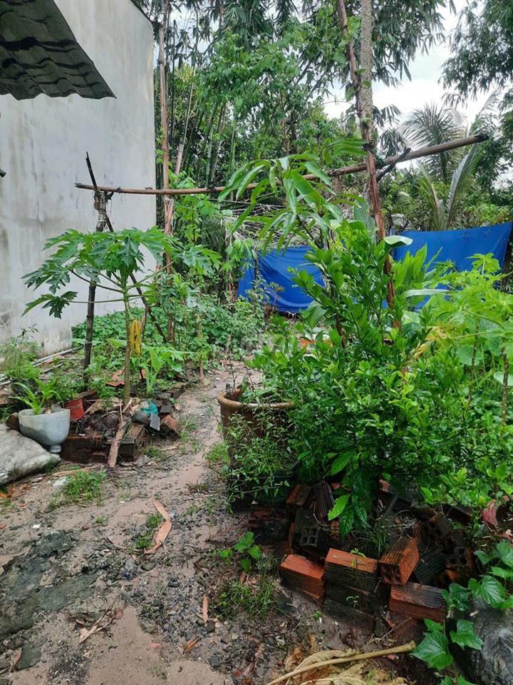 Bán đất vi bằng
