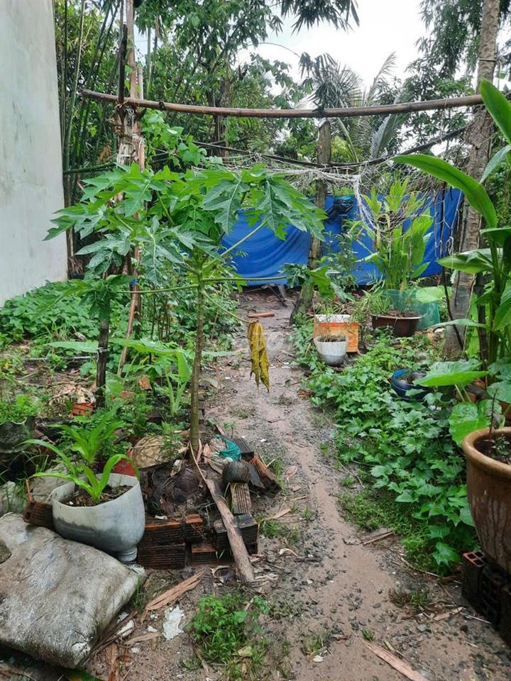 Bán đất vi bằng