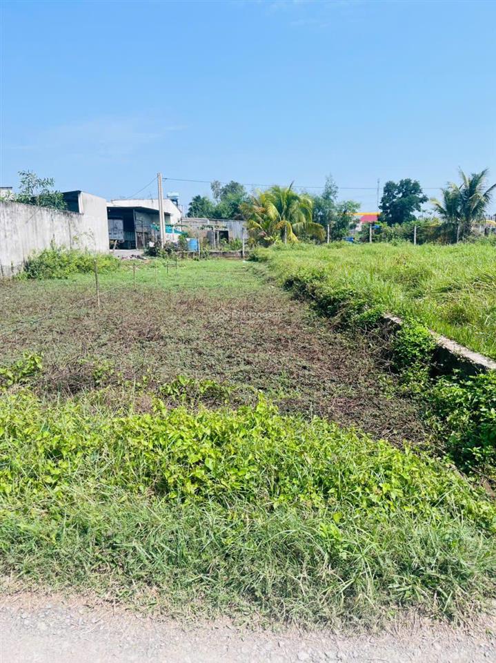 Bán đất 5x35m (175m2  thổ cư 100%). cách đường tl824 chỉ 100m