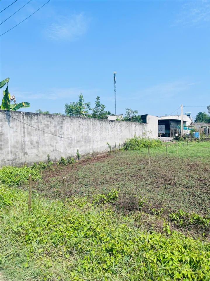 Bán đất 5x35m (175m2  thổ cư 100%). cách đường tl824 chỉ 100m