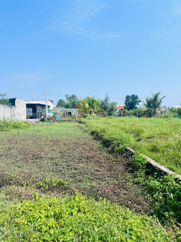 Bán đất 5x35m (175m2  thổ cư 100%). cách đường tl824 chỉ 100m