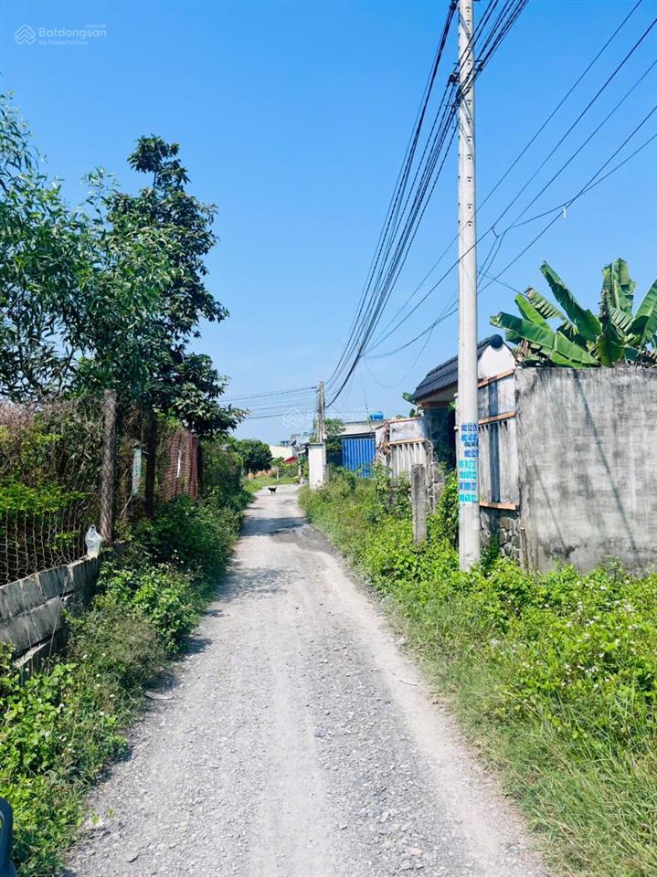 Bán đất 5x35m (175m2  thổ cư 100%). cách đường tl824 chỉ 100m
