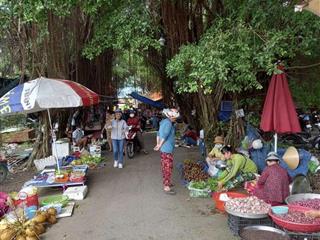 Bán đất tại chợ hòa bình, 1,3 tỷ, 100m², giá tốt uy tín