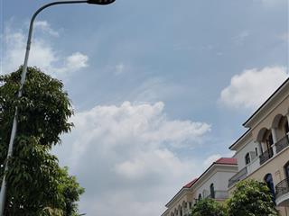 Bán gấp chà là 80m trục đường 20m vinhomes ocean park 2 giá siêu rẻ 11 tỷ