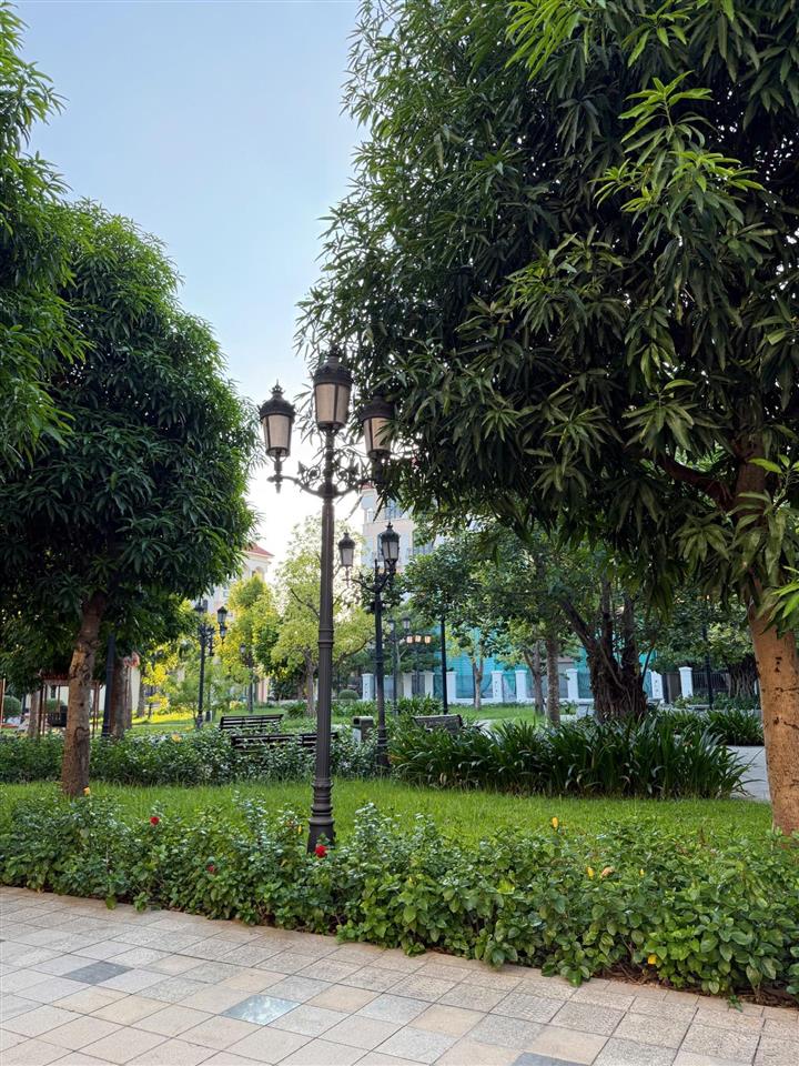 Bán gấp xẻ khẻ nhà vườn đối diện công viên vinhomes ocean park 2  11 tỷ