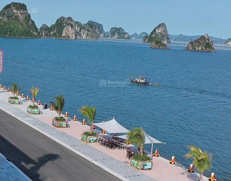 Chính chủ cần bán lô đất đông nam kđt phương đông vân đồn, giá cắt lỗ thật lòng giá 2x tr/m2