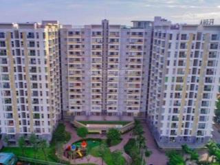 Chuyên cho thuê căn hộ flora anh đào, 55m2 1pn + 1, 1wc, giá tốt 0909 505 ***