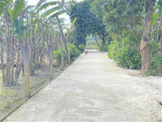 Đất hương an ngay đường chính lý thần tông chỉ 750tr 118m2