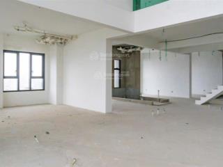 Chủ nhà cần bán căn duplex penthouse feliz en vista 406m2