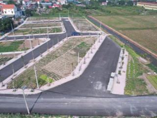 Chính chủ cần bán lô đất đấu giá Đồng Vườn, Thôn Nam Quất, xã Phú Xuyên