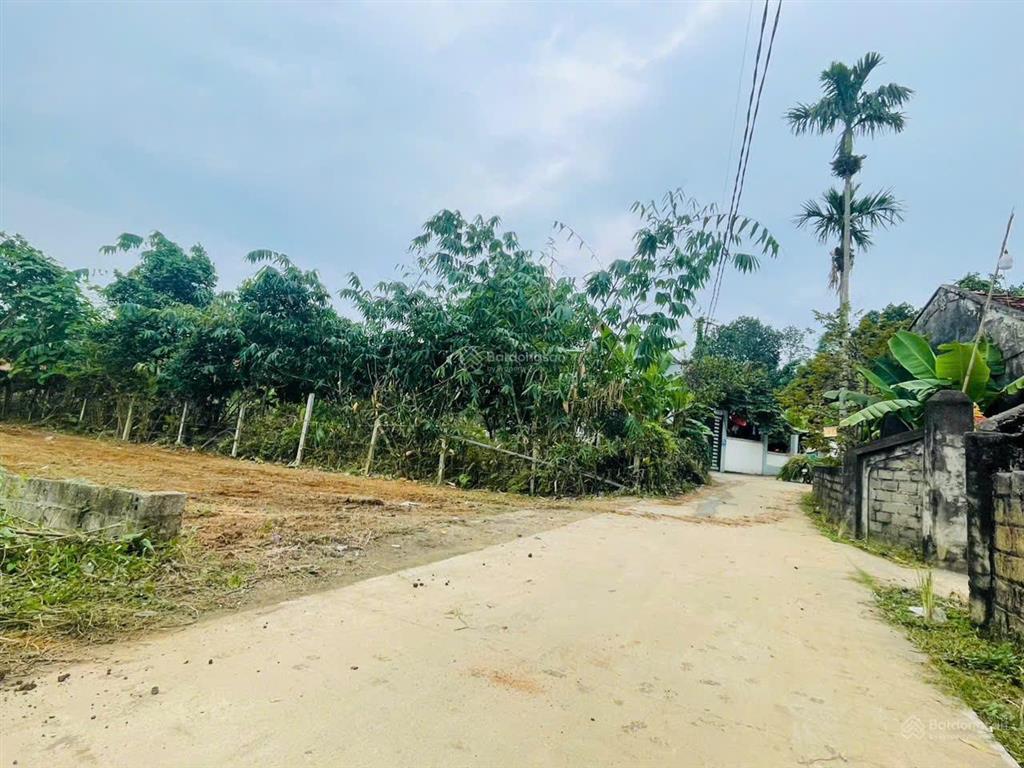 270m2 đất yên bài  ba vì tài chính chỉ hơn 2 tỷ