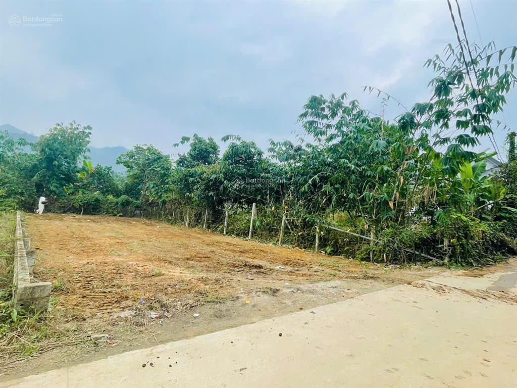 270m2 đất yên bài  ba vì tài chính chỉ hơn 2 tỷ