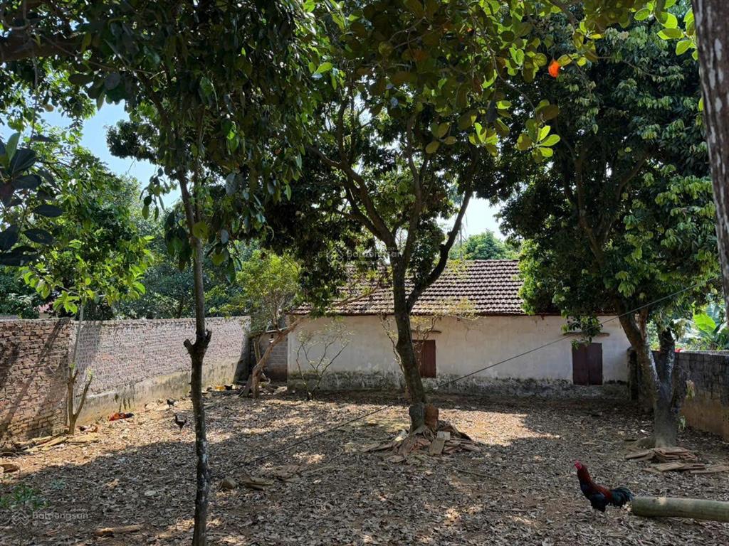 Hàng tuyển ba vì giá đầu tư, 200m2, full thổ, trục chính liên xã. e hiền lvcc 0988 908 ***