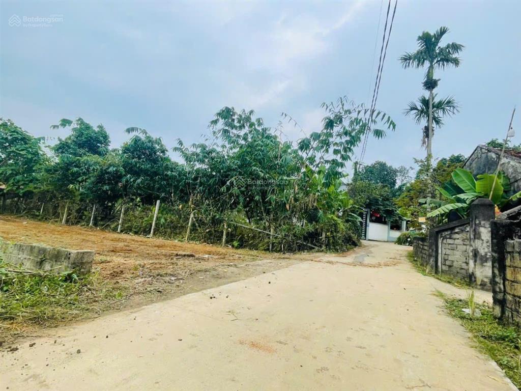 Đất đẹp giá hấp dẫn tại yên bài  ba vì