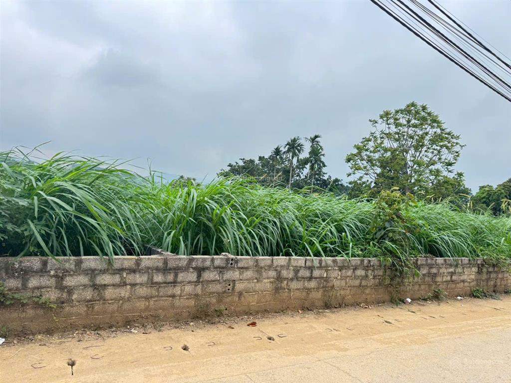 Duy nhất tại yên bài  ba vì. tổng 305m2. mặt tiền hơn 12m.  ngay 0988 908 ***