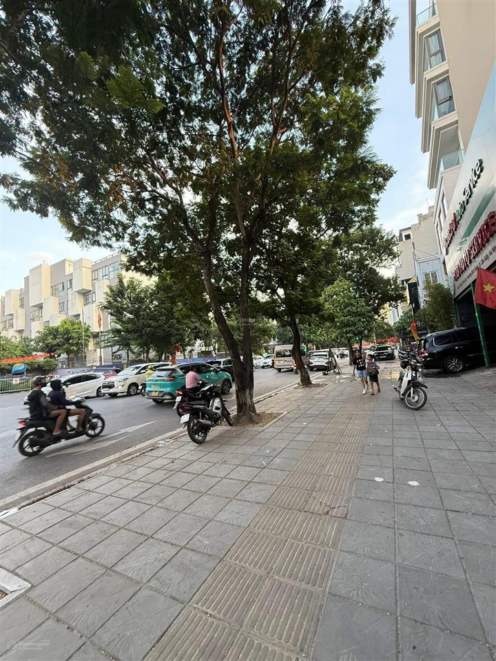 Bán nhà mặt phố khúc thừa dụ175m2, mt 7,8m giá164tỷ có hầm  kinh doanh dòng tiền2,5 tỷ/năm.