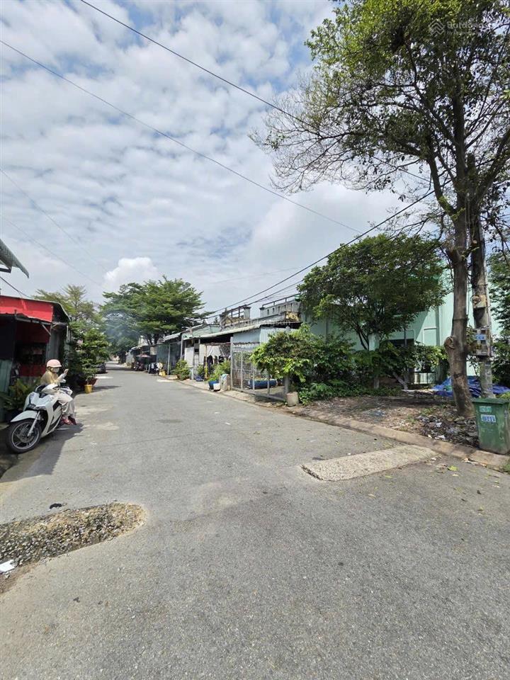 2,18 tỷ / bán đất 100m2 kdc kim thanh, gần chợ cầu khánh vân 900m, p.khánh bình, tp.tân uyên