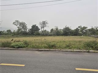 Siêu phẩm. 720m, mặt tiền 20m, đường nhựa 12m. cách quốc lộ 1a chỉ 40m. 0969 520 ***