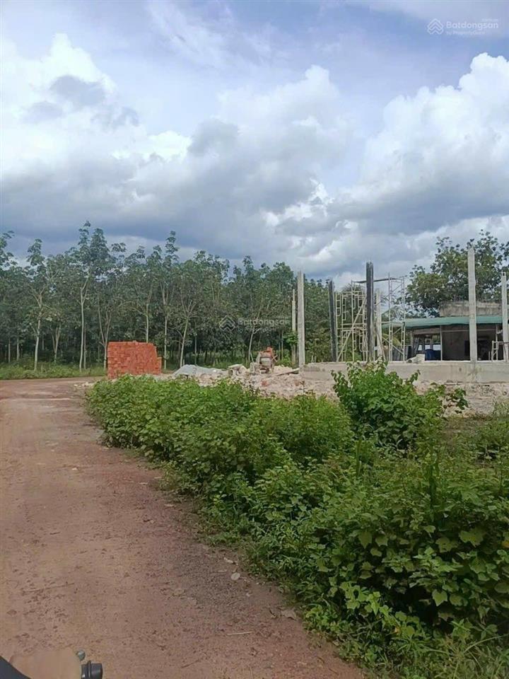 Bán đất sổ hồng minh tân dầu tiếng