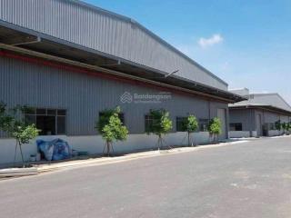 Cho thuê kho xưởng tại thủ đức tphcm